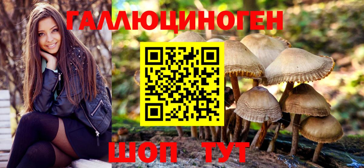 Псилоцибиновые грибы мицелий Барабинск